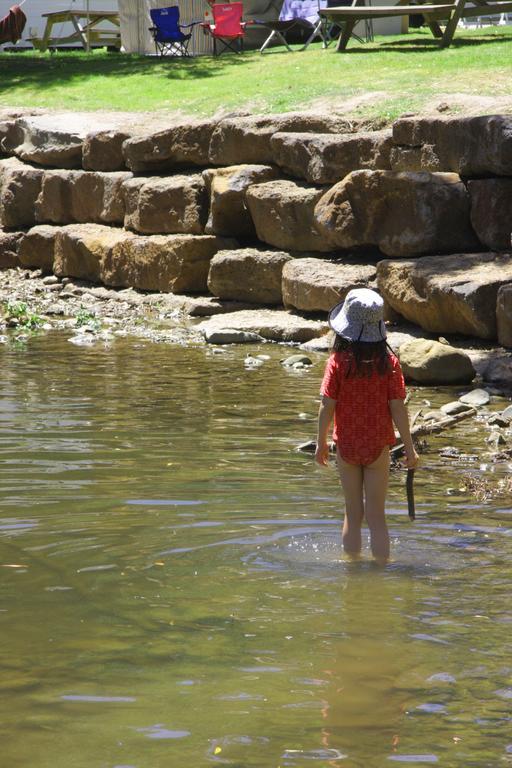 Big4 Wye River Holiday Park Екстер'єр фото